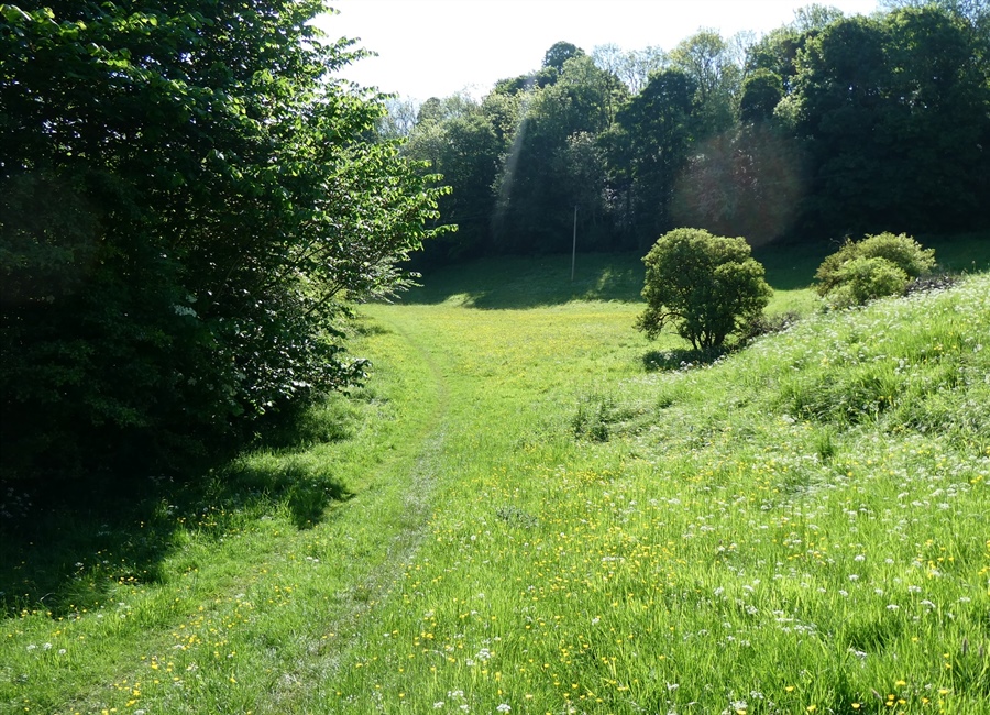 Easter Monday Guided Walk Offers Insight into Richmond’s Natural Heritage