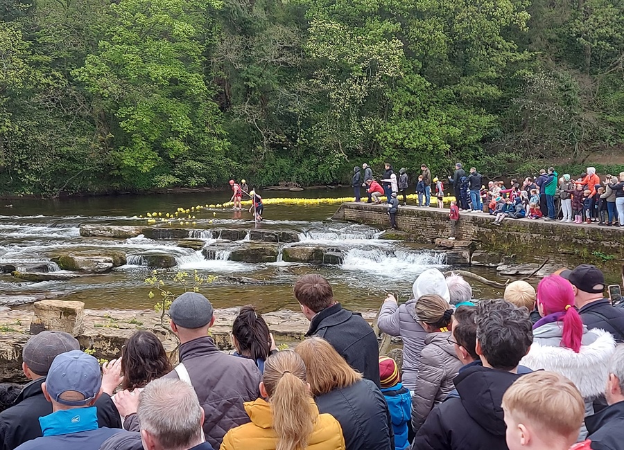 Richmond Gears Up for Grand Annual Duck Race on May Day Bank Holiday