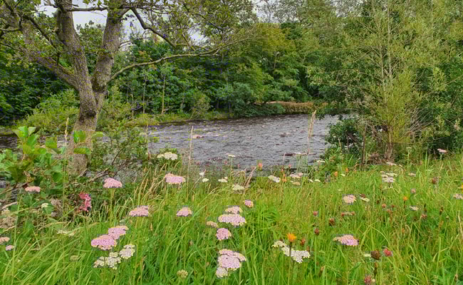 riverside image