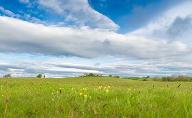 Richmond_Old-Racecourse